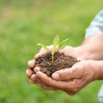 Electronics Industry