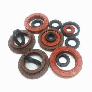 Oil Seal
